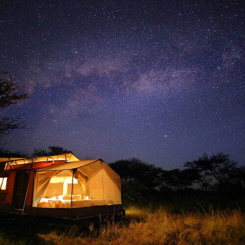 galleryluxury4 | Gamewatchers Safaris