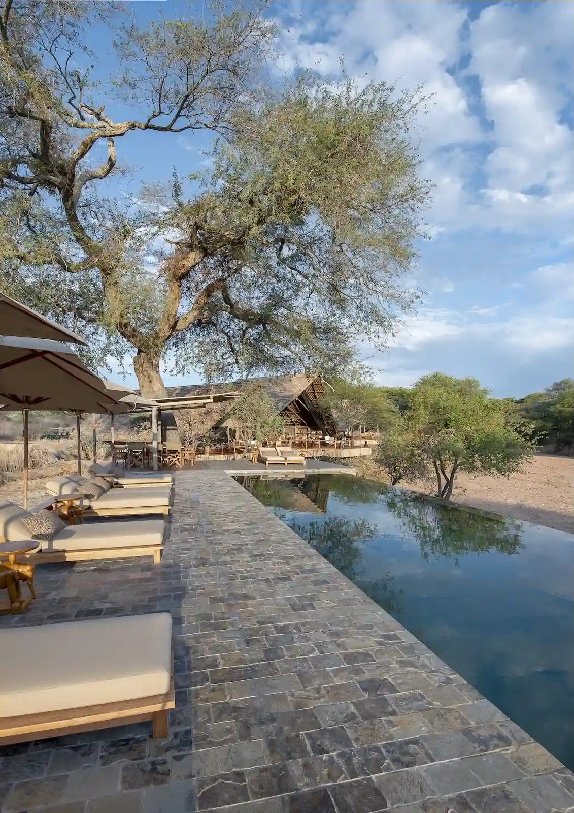 Pool view at Jongomero Camp in Ruaha National Park.