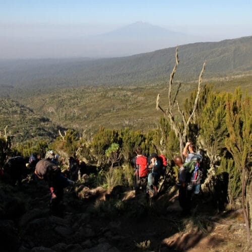 kss | Gamewatchers Safaris