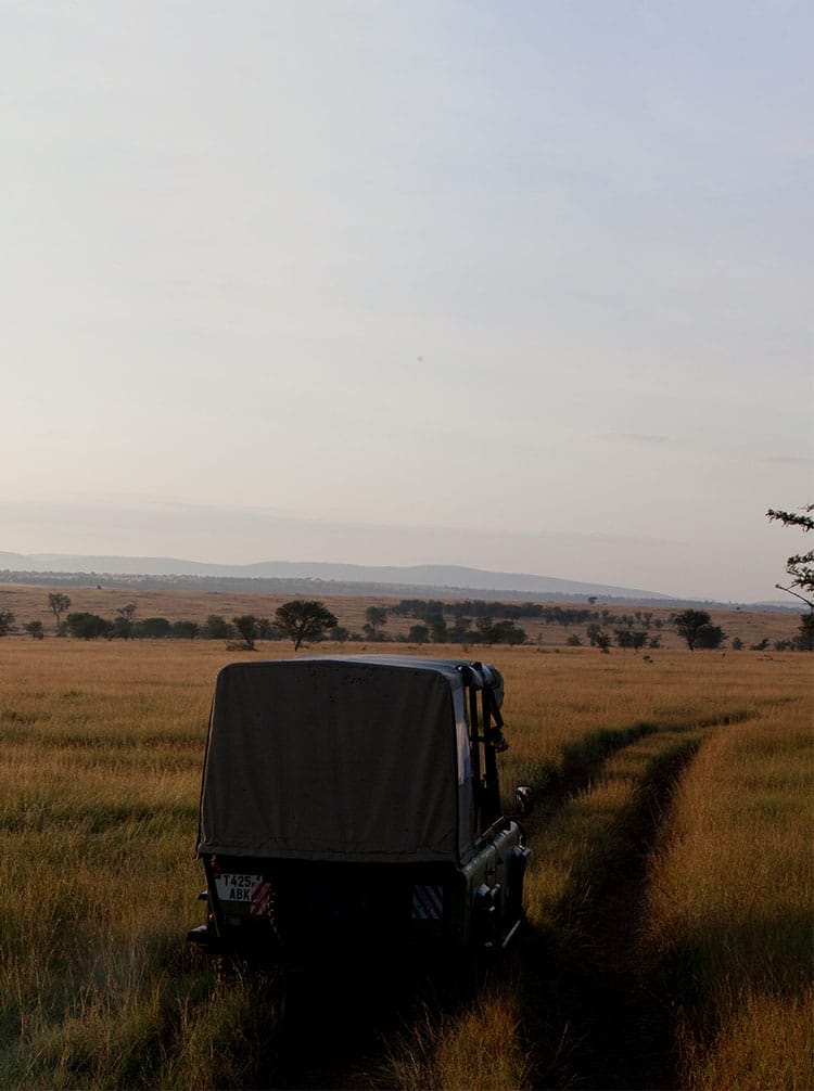 luxurymain | Gamewatchers Safaris