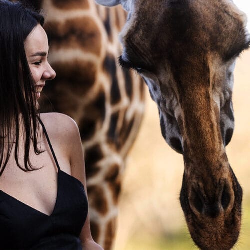 magnificent3 | Gamewatchers Safaris