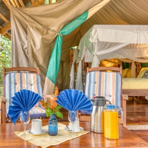 mm.gombe.room1411 | Gamewatchers Safaris