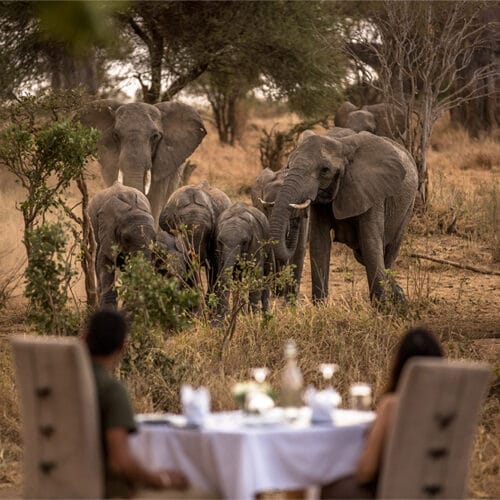 mobilegal1 | Gamewatchers Safaris