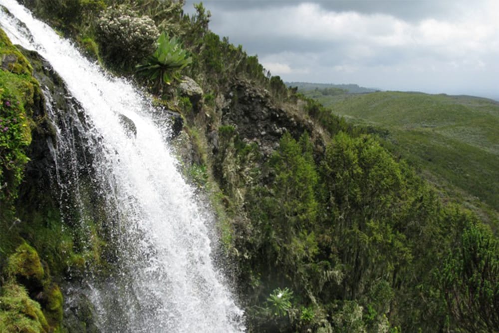 mtkenya1