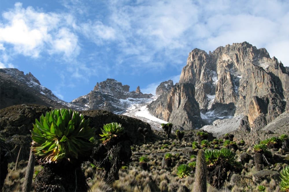 mtkenya4