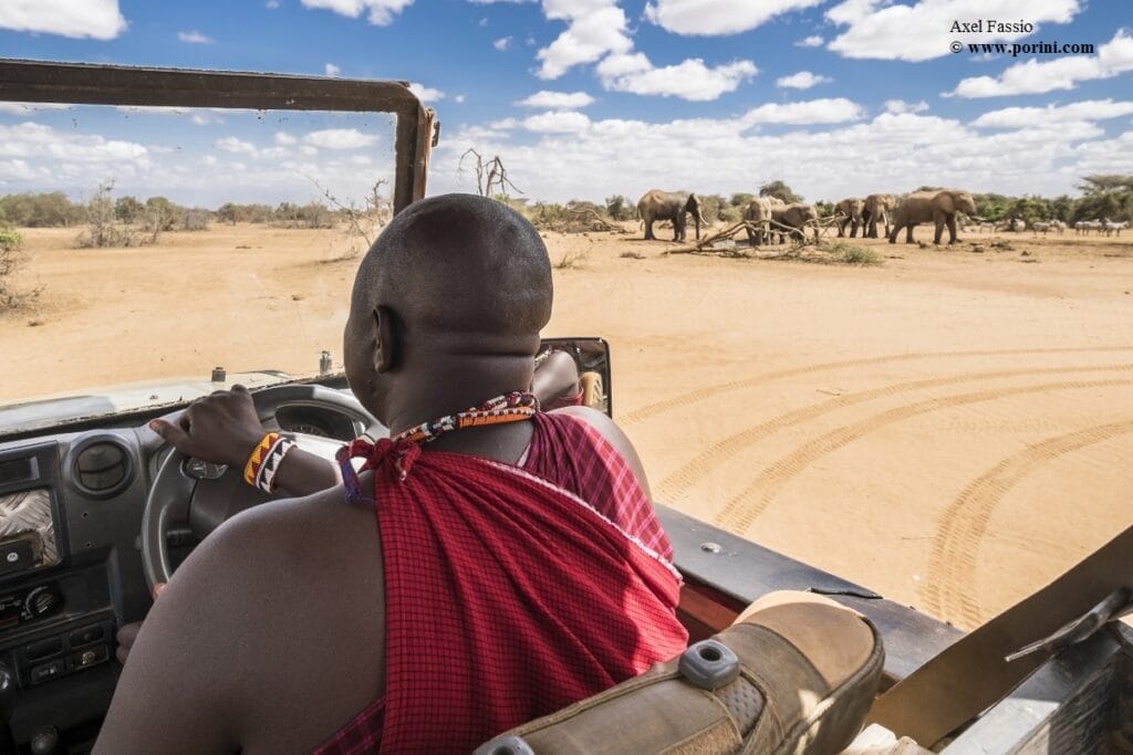 Porini Amboseli Camp - Game Drive