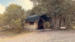 Tent Accommodation - Porini Rhino Camp