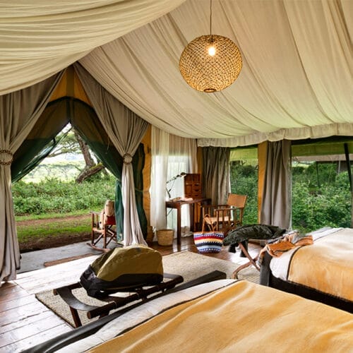 tanzaniadiscoverygallery2 | Gamewatchers Safaris