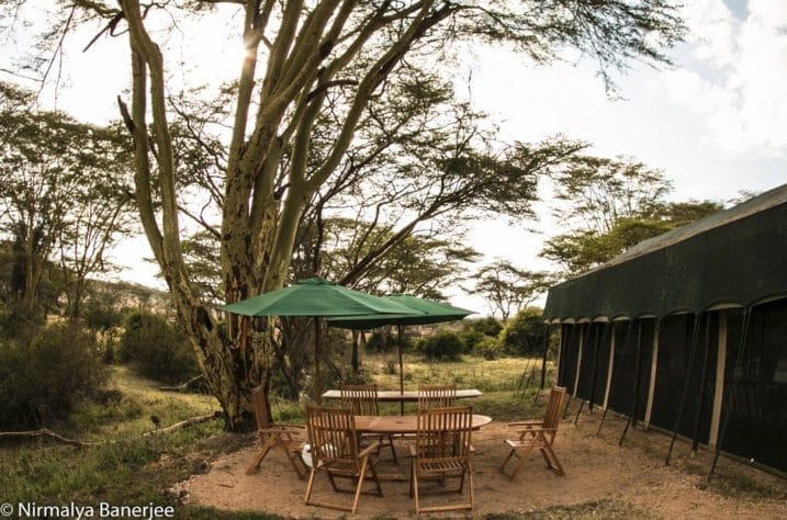 the-outdoor-dining-area-717x474