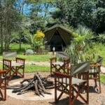 woodlands_tents_and_firepit