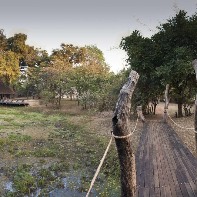 201108_Nkwali_ (1)