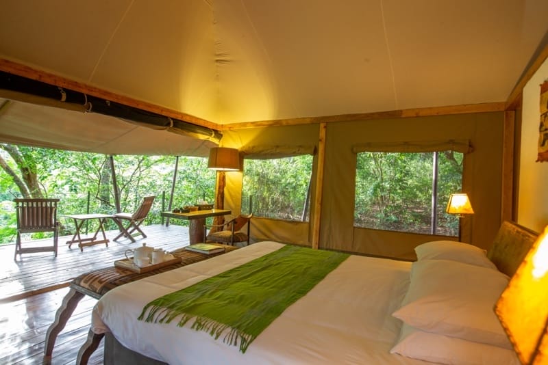Rhino River Camp Tent Interior