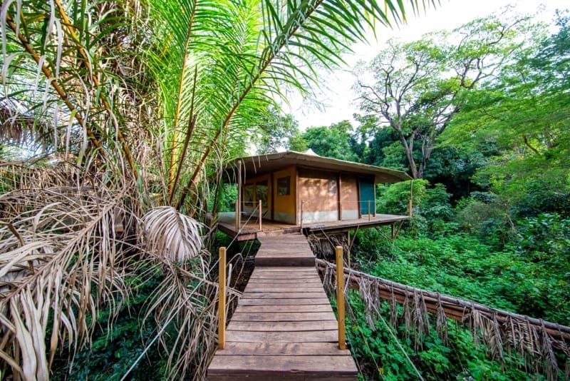 Rhino River Camp Exterior