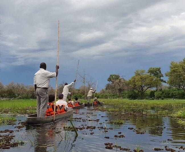 Khwai Leadwood Mokoro
