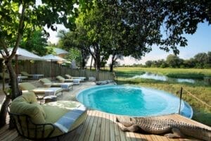 Khwai Leadwood Pool