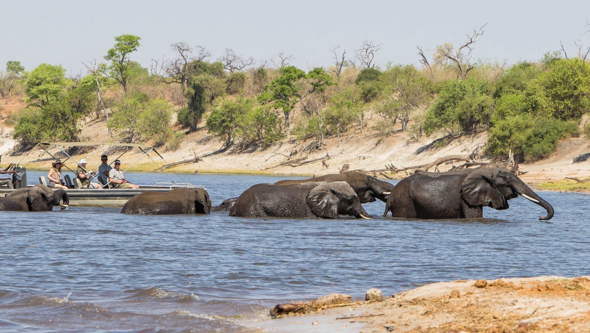 Chobe-top