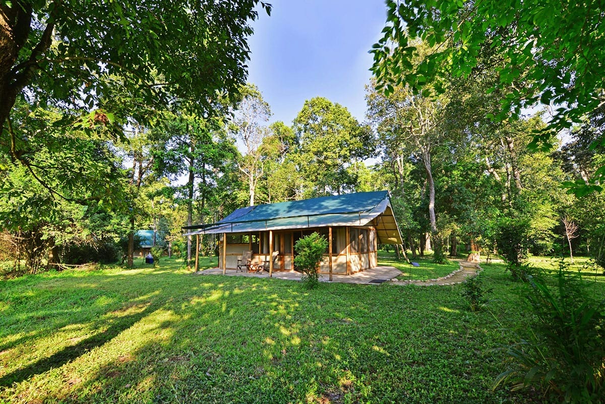 Ishasha Wilderness Camp | Gamewatchers Safaris Ishasha Wilderness Camp