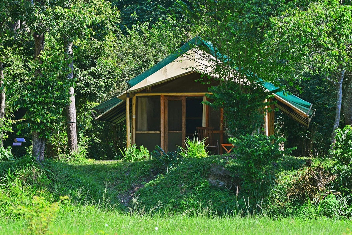 Ishasha-Wilderness-Camp-room-front-view-scaled