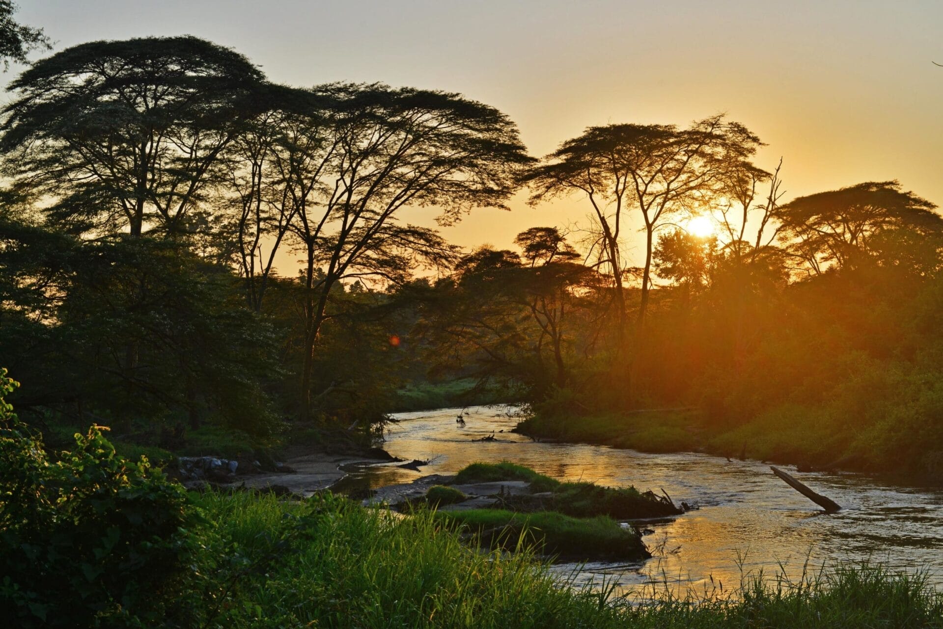 Ishasha-Wilderness-Camp-sunrise-river-view-scaled