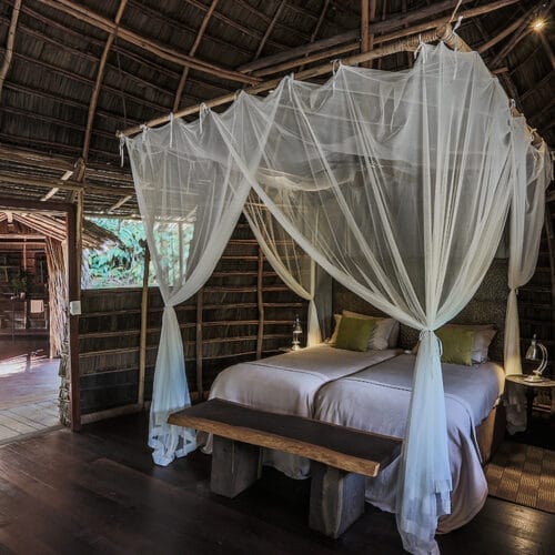 Odzala National Park - Republic of Congo | Gamewatchers Safaris