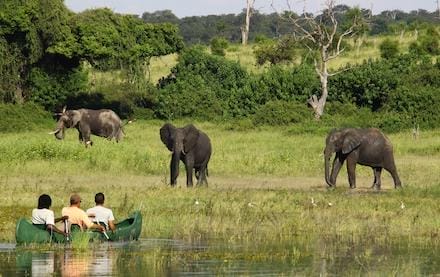 Chobe River Camp
