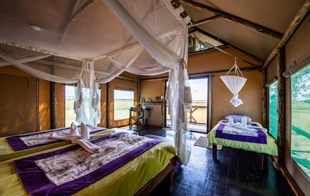Namibia_Chobe_River_Camp_tent_interior3_440x278