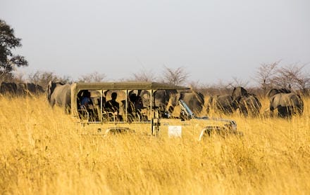 Namibia_Namushasha_River_Lodge-_gamedrive2_440x278
