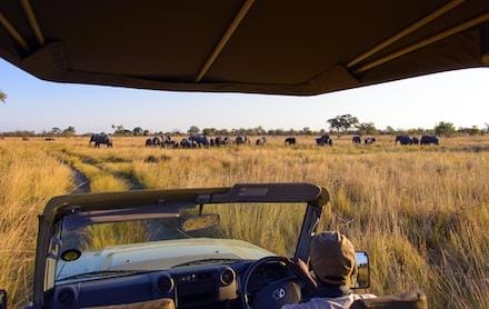Namibia_Namushasha_River_Lodge-_gamedrive3_440x278