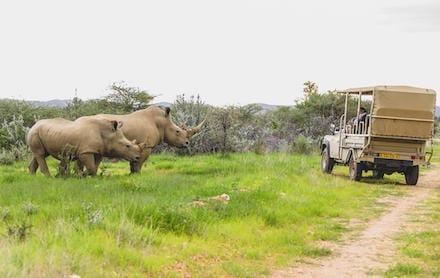 Namibia_Okapuka_Safari_Lodge_Gamedrive1_440x278