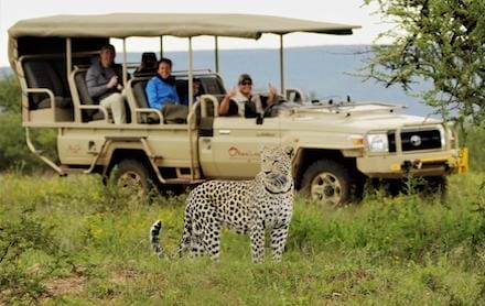 Namibia_Okonjima_experience2_440x278