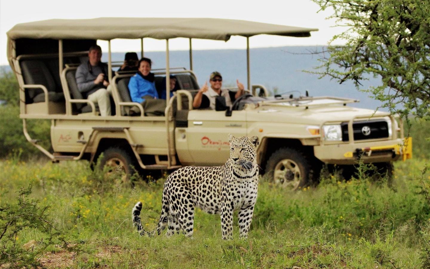 Namibia_Okonjima_reserve_1440x900