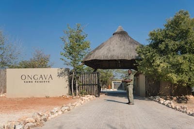 Ongava Lodge