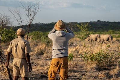 Namibia_Ongava_Lodge_Walk_440x278