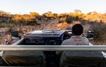 Namibia_okonjima_bush_suite_gamedrive2_440x278