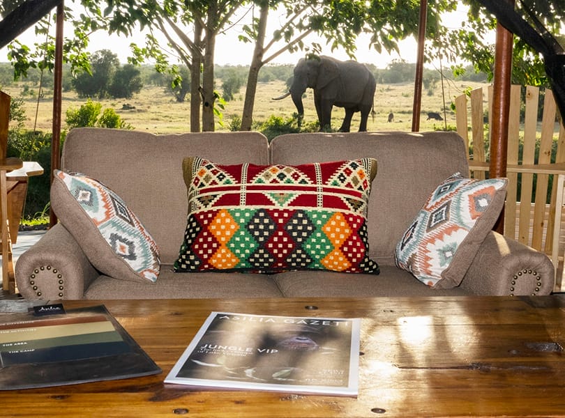 Ol-Pejeta-Bush-Camp-View-from-Lounge-in-Family-tent