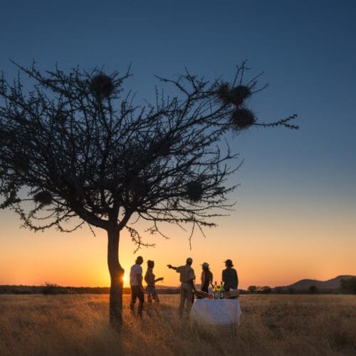 Sunset Meal Next to tree - African Safari Packages