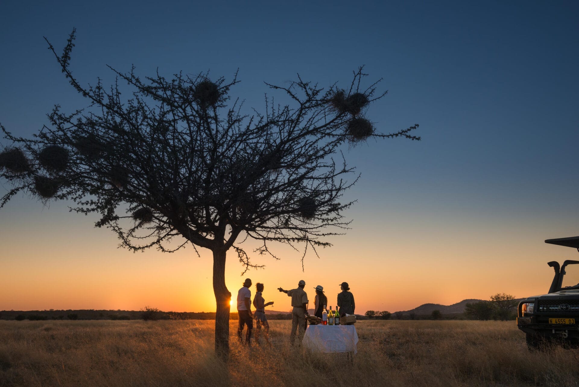 Sunset Meal Next to tree - African Safari Packages