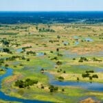 Okavango Delta