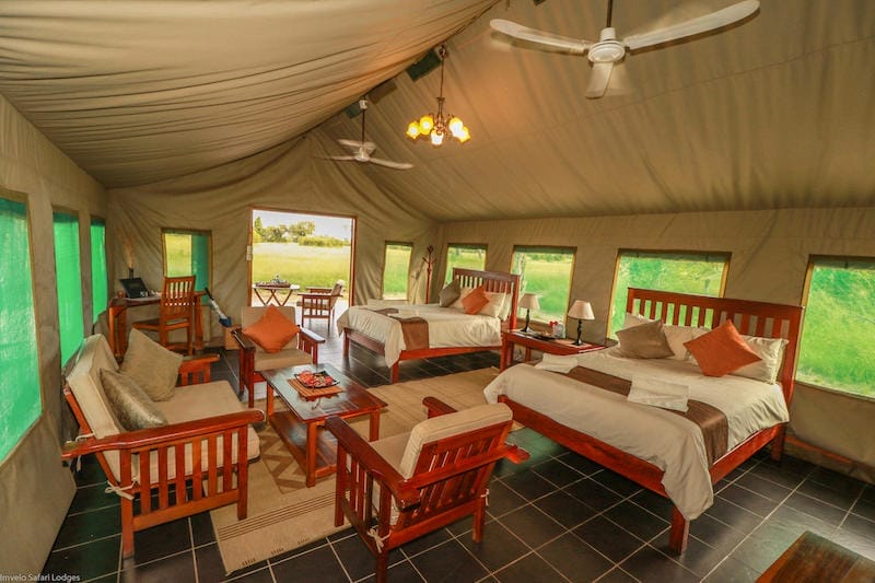 Zimbabwe_Bomani_spurwinginterior_800x533