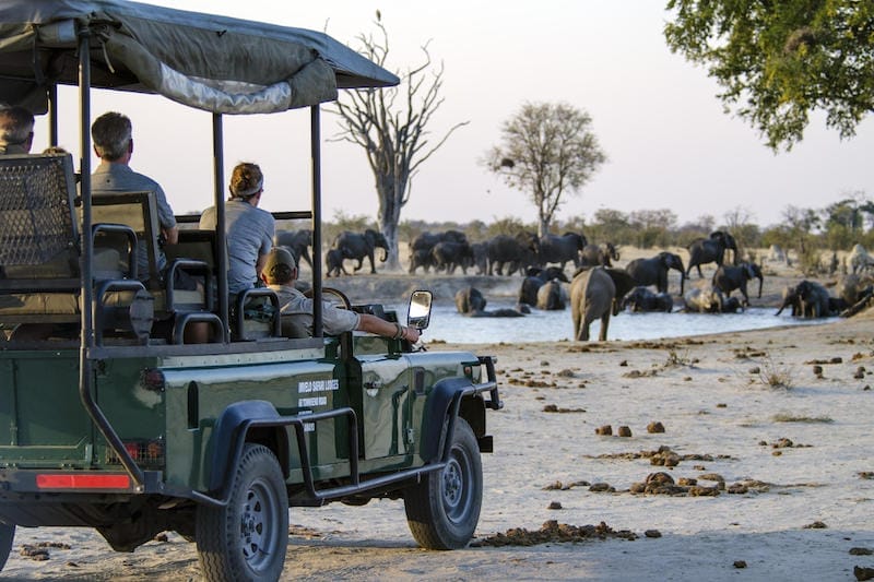 Zimbabwe_Nehimba_gamedrive_800x533