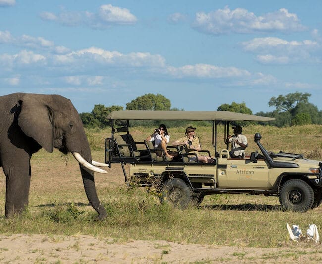 Zimbabwe_Nyamatusi_Camp_gamedrive_800x534