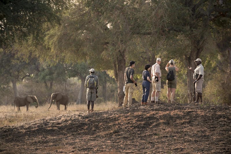 Zimbabwe_Nyamatusi_Camp_walk6_800x534