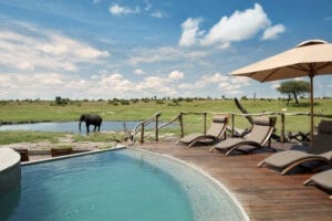 Somalisa Expeditions Pool