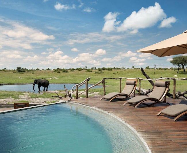Somalisa Expeditions Pool