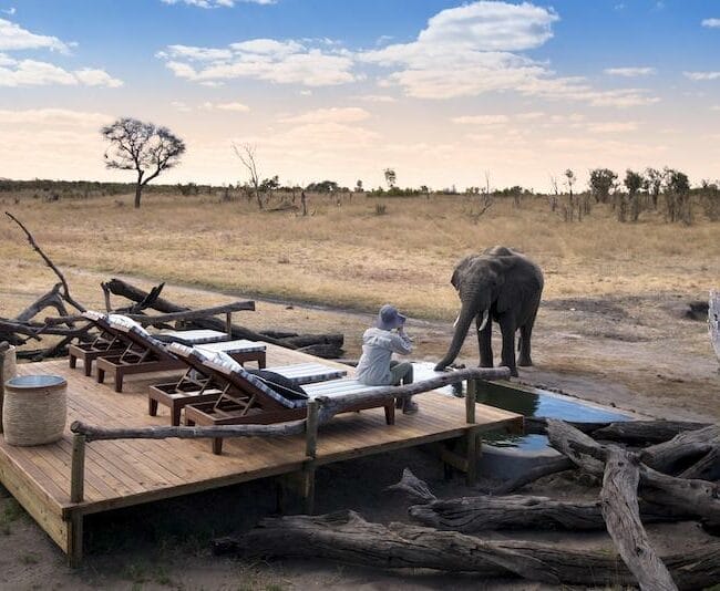Somalisa Expeditions Elephant Pool
