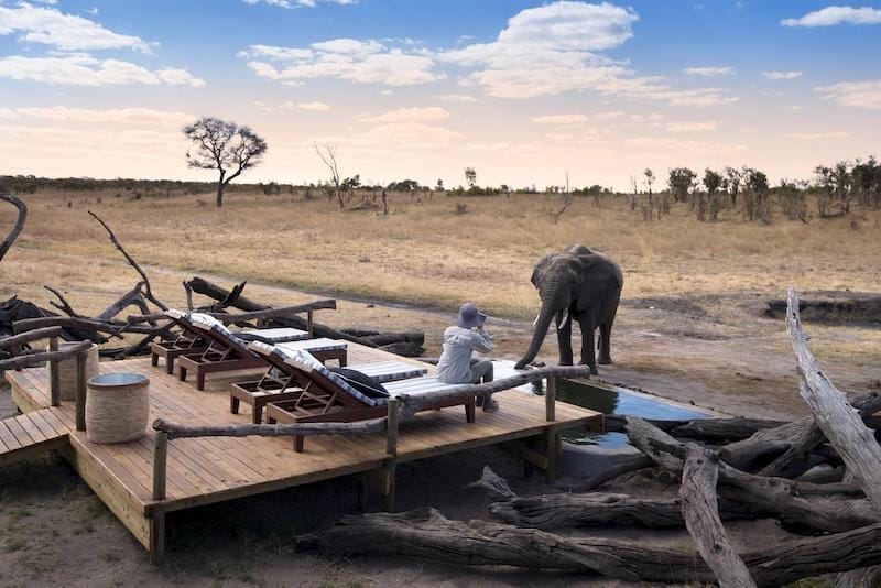 Somalisa Expeditions Elephant Pool Somalisa Expeditions Elephant Pool