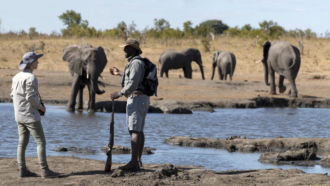 Zimbabwe_Somalisa-Expeditions_walk_1280x720