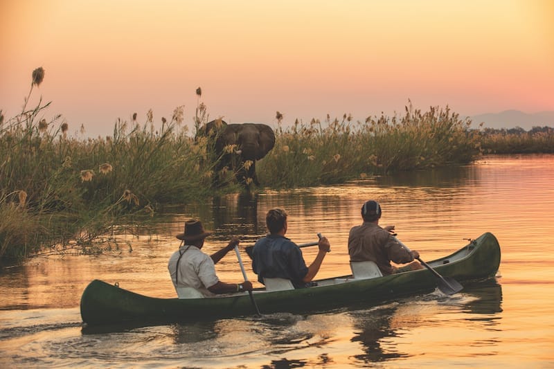 Tembo Plains Camp is tucked away into a thick riverine forest on the edge of the Zambezi River, in the private 128,000-hectare Sapi Private Reserve, east of Zimbabwe’s Mana Pools National Park.
Tembo Plains Camp is tucked away into a thick riverine forest on the edge of the Zambezi River, in the private 128,000-hectare Sapi Private Reserve, east of Zimbabwe’s Mana Pools National Park.

Tembo Plains Camp and the 2-bedroomed Tembo Plains Suite fit into our highest camp level offering, the Réserve Collection of camps. Fellow Réserve Collection camps include Zarafa Camp, Selinda Camp, Duba Plains in Botswana, Mara Nyika Camp, Mara Plains Camp and ol Donyo Lodge in Kenya. It is also a proud member of Relais & Châteaux – the only luxury Zimbabwean safari camp currently with this honour.
Elephant experiences at Tembo Plains