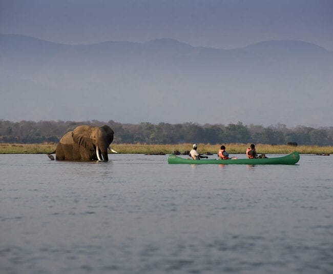 Zimbabwe_Zambezi_Expeditions_canoe2_800x534
