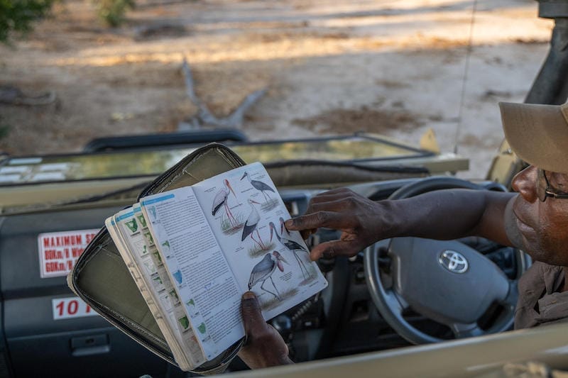 Zimbabwe_kangacamp_guide_800x533